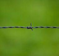 Barbed wire 250822 620