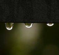 Drip 8763 620