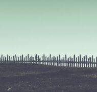 Simone dalmeri s3il 3aas Xo unsplash