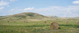 Abigail ezer ranch wife