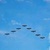 Birds 216827 620