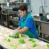 Kitchen 620