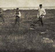 Gotland Jordbruk slåtter Nordiska Museet NMA 0041379