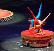 Contortion