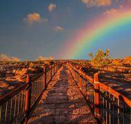 Leaving a path