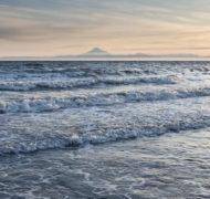 Wading in the waves