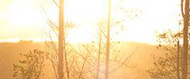 IMG 4160