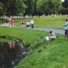Nature bird people grass